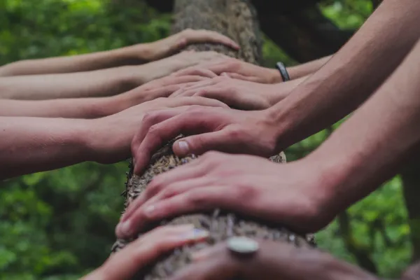 shane-rounce-682783-unsplash